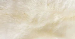 Lanna Ivory Sheepskin Throw 2 X 3 5 Lanna Ivory Sheepskin Throw 2 X 3 -Furniture Sales 2024 image19437