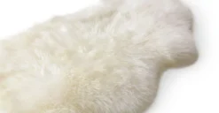 Lanna Ivory Sheepskin Throw 2 X 6 2 Lanna Ivory Sheepskin Throw 2 X 6 -Furniture Sales 2024 image19446