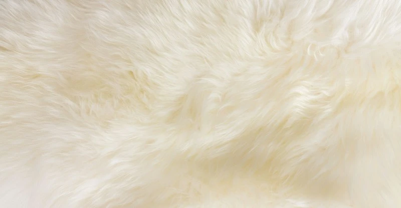 Lanna Ivory Sheepskin Throw 2 x 6 Lanna Ivory Sheepskin Throw 2 X 6 -Furniture Sales 2024 image19451