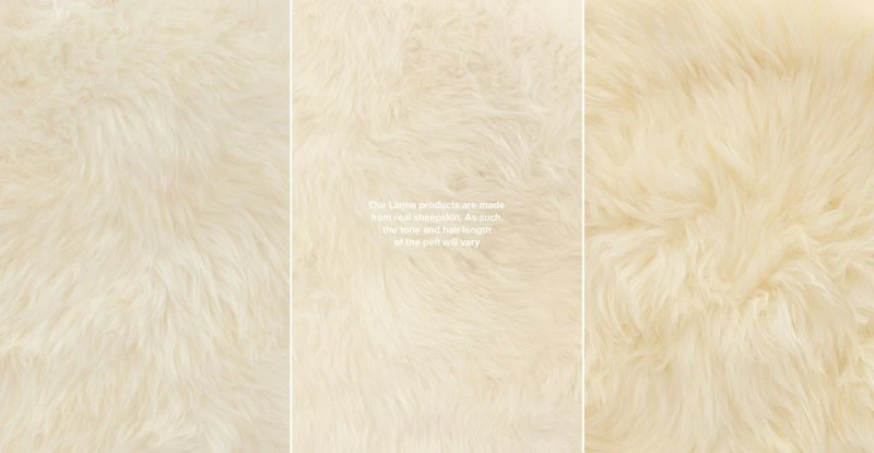 Lanna Ivory Sheepskin Throw 2 x 6 Lanna Ivory Sheepskin Throw 2 X 6 -Furniture Sales 2024 image45752