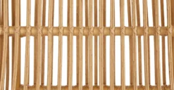 Calova Lounge Chair -Furniture Sales 2024 image63908