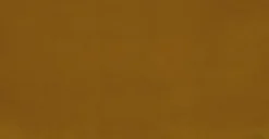 Sven Yarrow Gold Sofa -Furniture Sales 2024 image69407