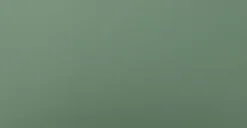 Svelti Aloe Green Dining Chair -Furniture Sales 2024 image76844