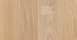 Rus Light Oak Dining Chair 9 Rus Light Oak Dining Chair -Furniture Sales 2024 image79537