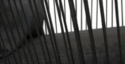 Calicut Coast Black Lounge Chair 7 Calicut Coast Black Lounge Chair -Furniture Sales 2024 image91604