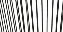 Calicut Coast Black Dining Chair -Furniture Sales 2024 image91653