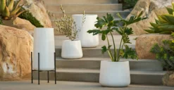 Tuva White Narrow Indoor/Outdoor Planter