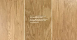 Seno Oak 55" Bench 6 Seno Oak 55" Bench -Furniture Sales 2024 image96047