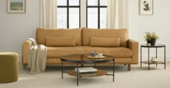 Vitri Walnut Coffee Table